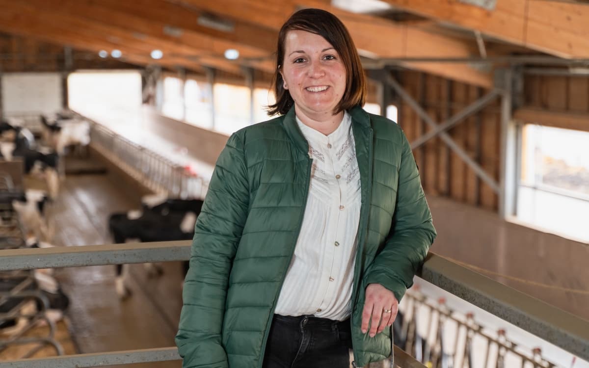 La Tușnad, tehnologia schimbă modul de lucru într-o fermă de bovine