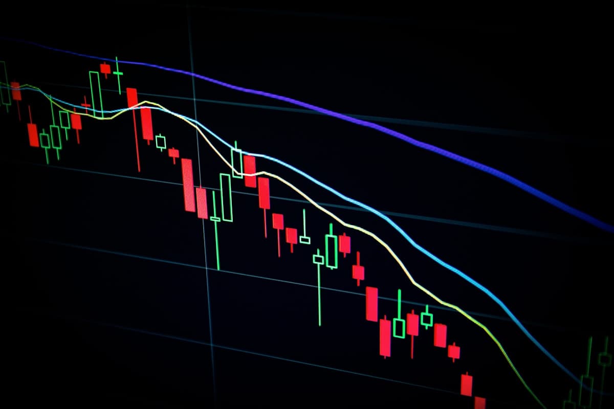BVB în săptămâna 3-7 august 2026: Volatilitate pe fondul pierderilor în energie și finanțe