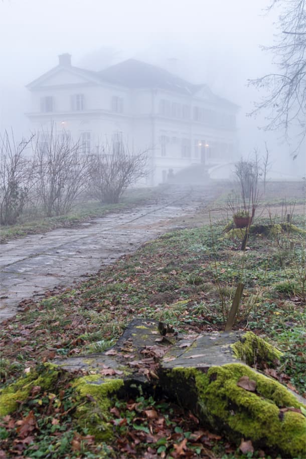 Crăciun fără Rege: TRISTEȚE maximă la castelul de la Săvârșin (FOTO)