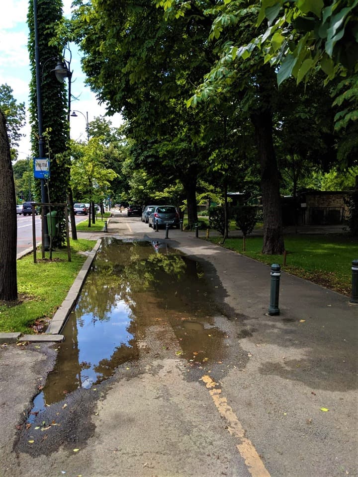 Cel mai frumos bulevard din Capitală arată JALNIC. FOTO