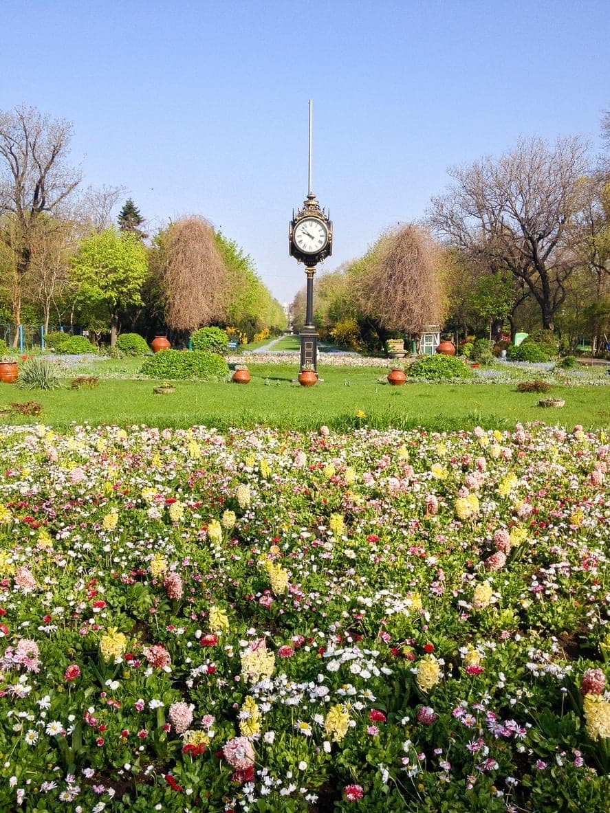 Câteva lucruri neștiute despre parcul Cișmigiu