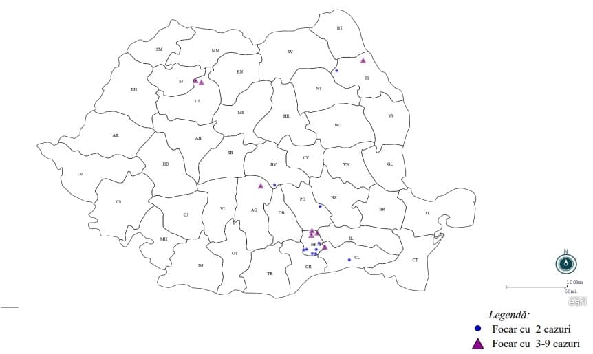 E OFICIAL! OMICRON se transmite deja comunitar în România. UNDE sunt cele mai mari FOCARE