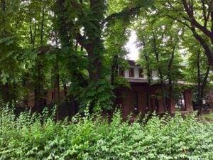 Ghinion pentru Florin Călinescu! A investit jumătate de milion euro în propriul teatru care continuă să rămână închis