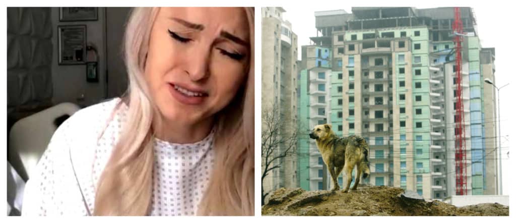 Andreea Bălan, proces pentru o pagubă de 90.000 de euro. Cum a cumpărat un apartament inexistent