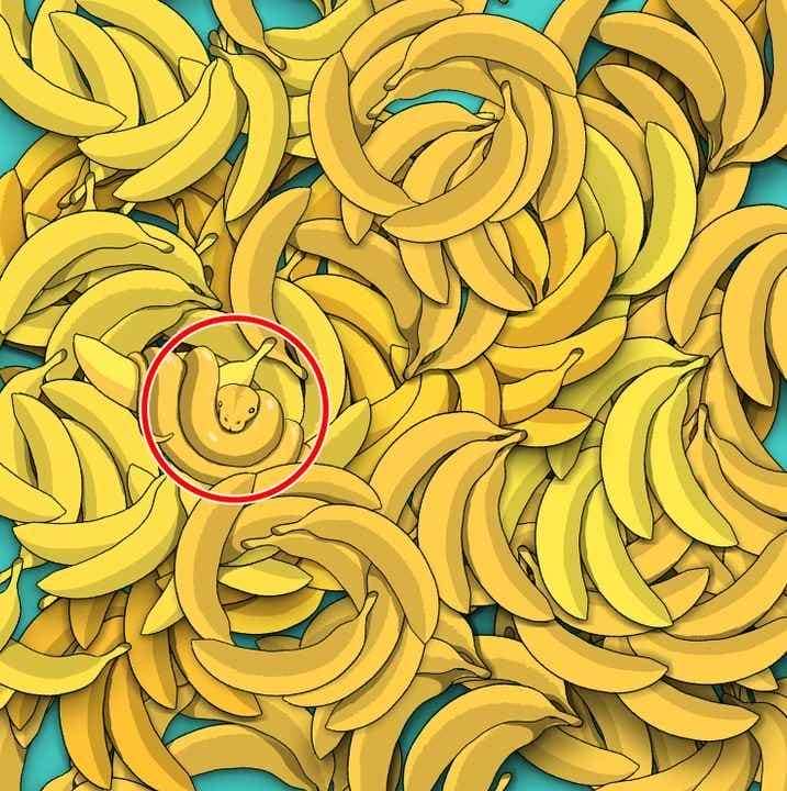 Iluzie optică. Ce se ascunde între bananele din imagine. Ai 5 secunde la dispoziție