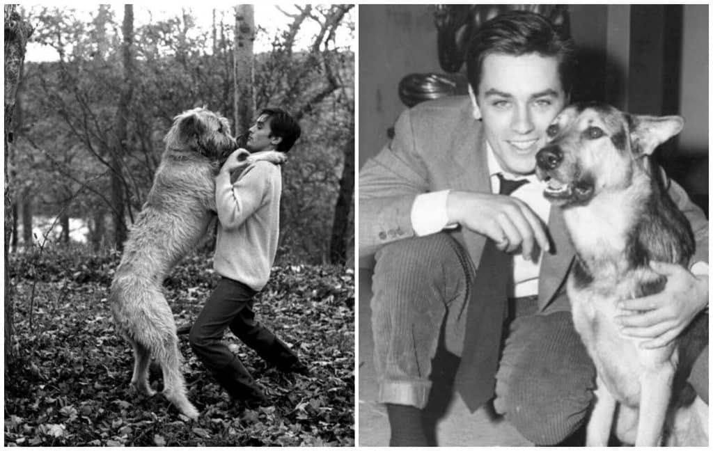 Incredibil, unde va fi înmormântat Alain Delon. „Aici se odihnesc 50 de câini, frați și surori!”