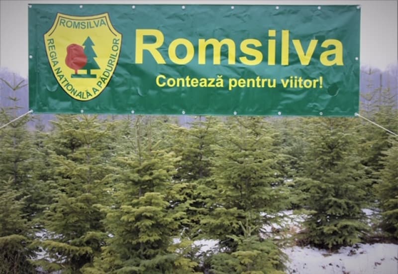 Regia Naţională a Pădurilor: Romsilva a investit în acest an peste 280 de milioane de lei în drumuri forestiere, pepiniere silvice, corectare de torenţi şi utilaje moderne