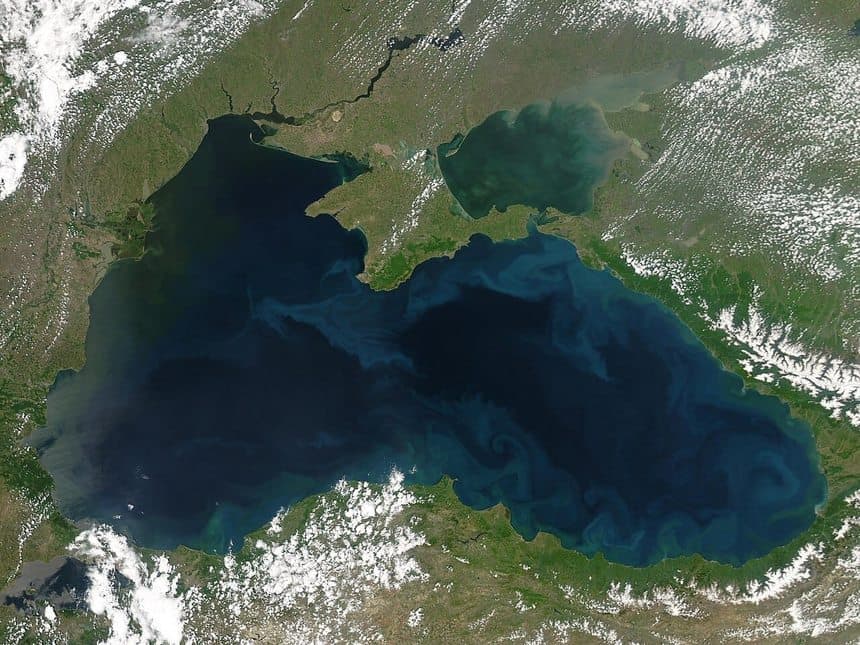 Dezastrul ecologic din Marea Neagră. Negrescu: „Sute de păsări, zeci de delfini şi mii de vieţuitoare marine au murit”