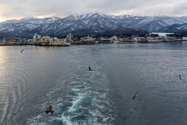 30 de cutremure în Japonia, în această dimineață. A fost alertă de tsunami