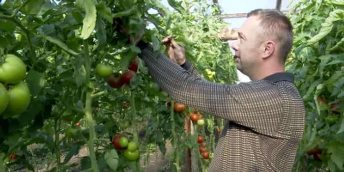 Ministrul Agriculturii își dorește un program pentru încălzirea serelor. „Să alocăm din Fondul de Mediu”