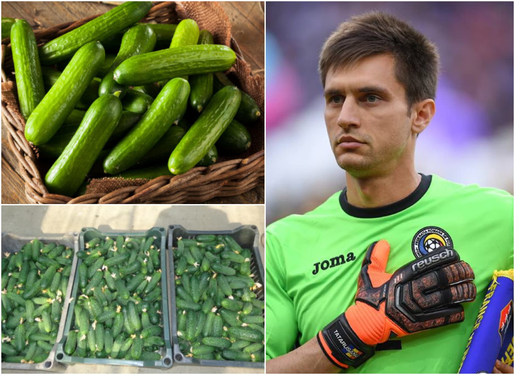 Ciprian Tătărușanu investește în agricultura bio. Ce livrează fostul portar marilor lanțuri de supermarketuri