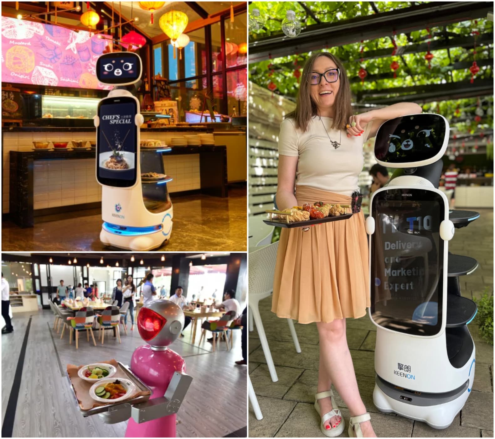 Primii roboți chelneri din România. Faceți cunoștință cu Roby din Iași