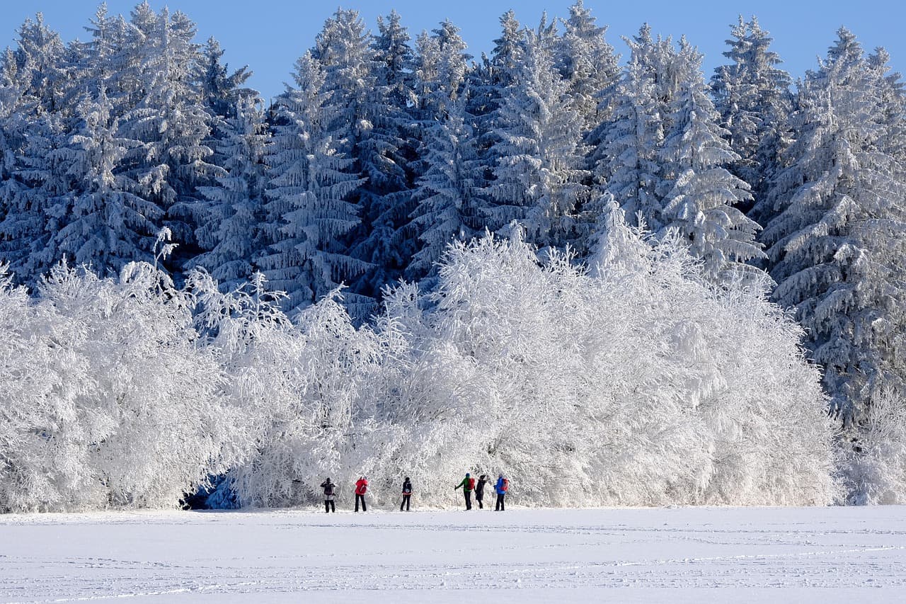 Meteorologi: Vortexul Polar neobișnuit care se formează acum ar putea aduce cea mai friguroasă iarnă din ultimii 40 de ani