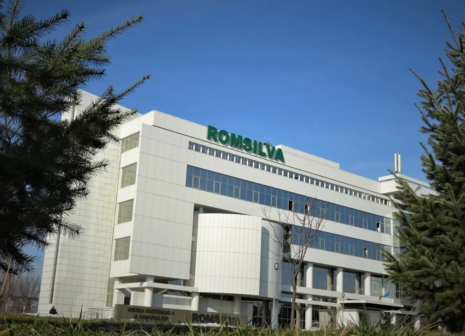 Romsilva susține că a investit 289 milioane lei în infrastructura forestieră în 2025