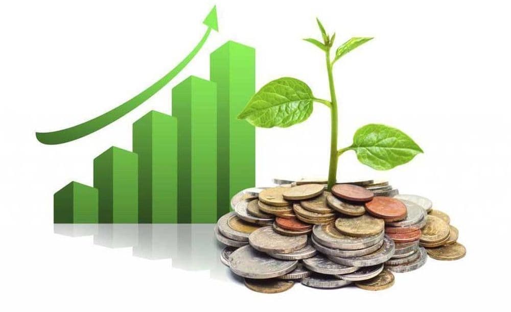 Disciplina financiară, fundamentul stabilității bugetare într-o economie predictibilă/ ANALIZĂ