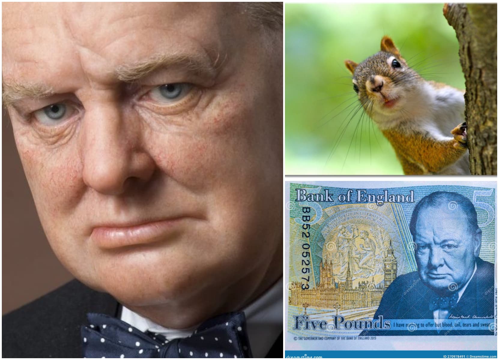 Winston Churchill dispare de pe bancnotele britanice. Eroul Angliei va fi înlocuit cu imagini cu... arici, bursuci ori veverițe
