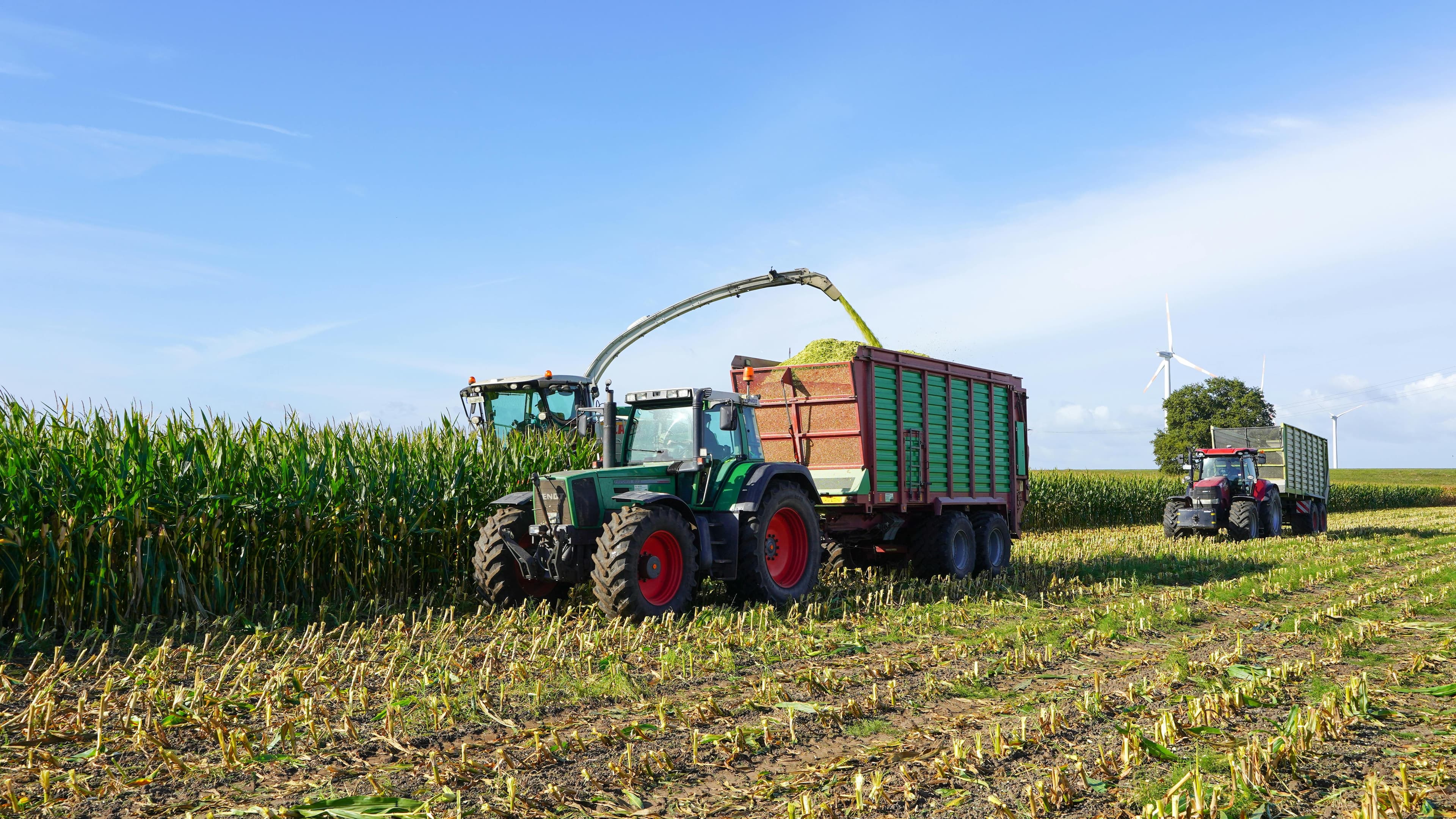 Parchetul European desfășoară acțiuni urgente în Croația într-o anchetă privind fonduri agricole ale UE