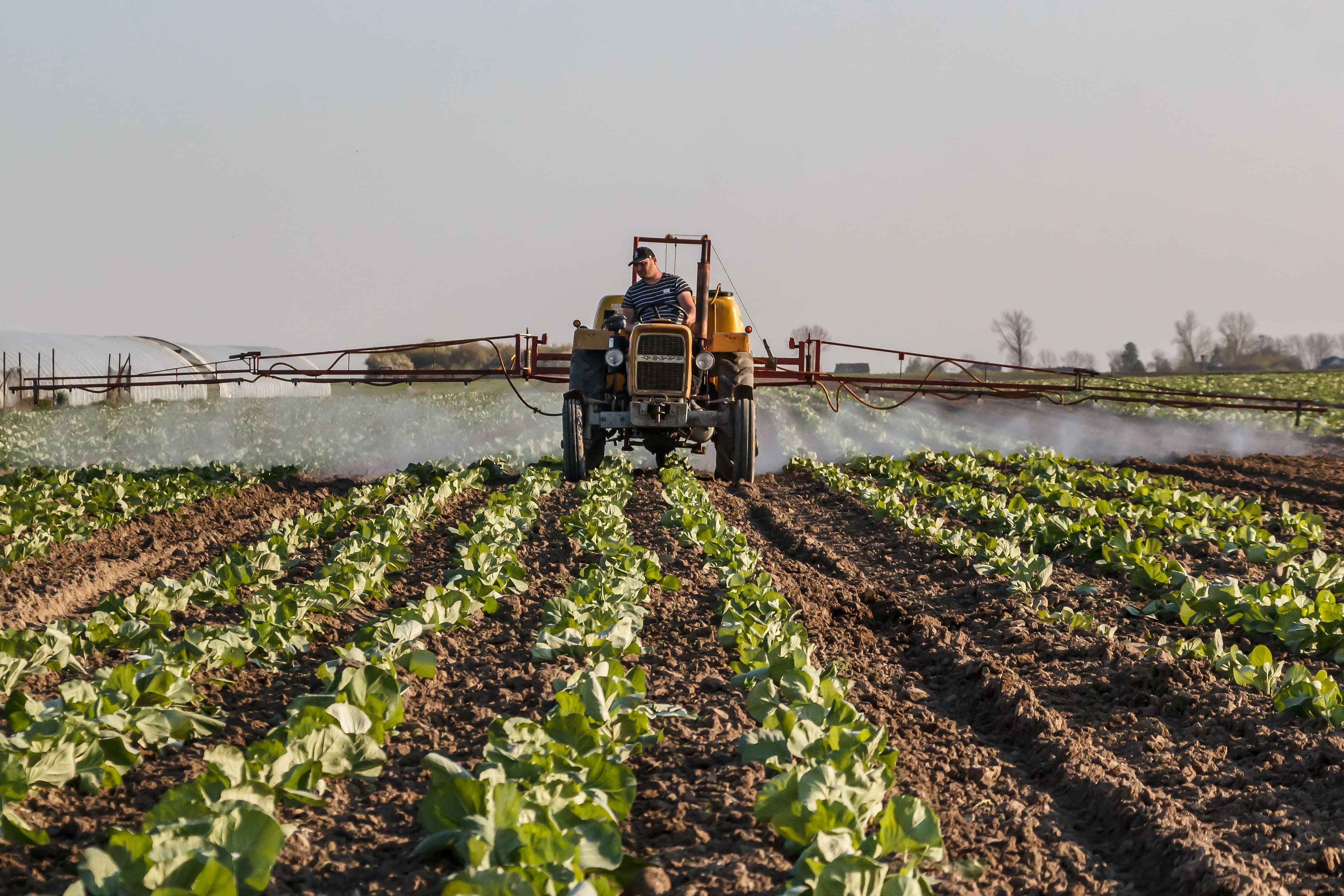 Uniunea Europeană pregătește reguli mai simple pentru pesticide, ferme și ambalaje alimentare