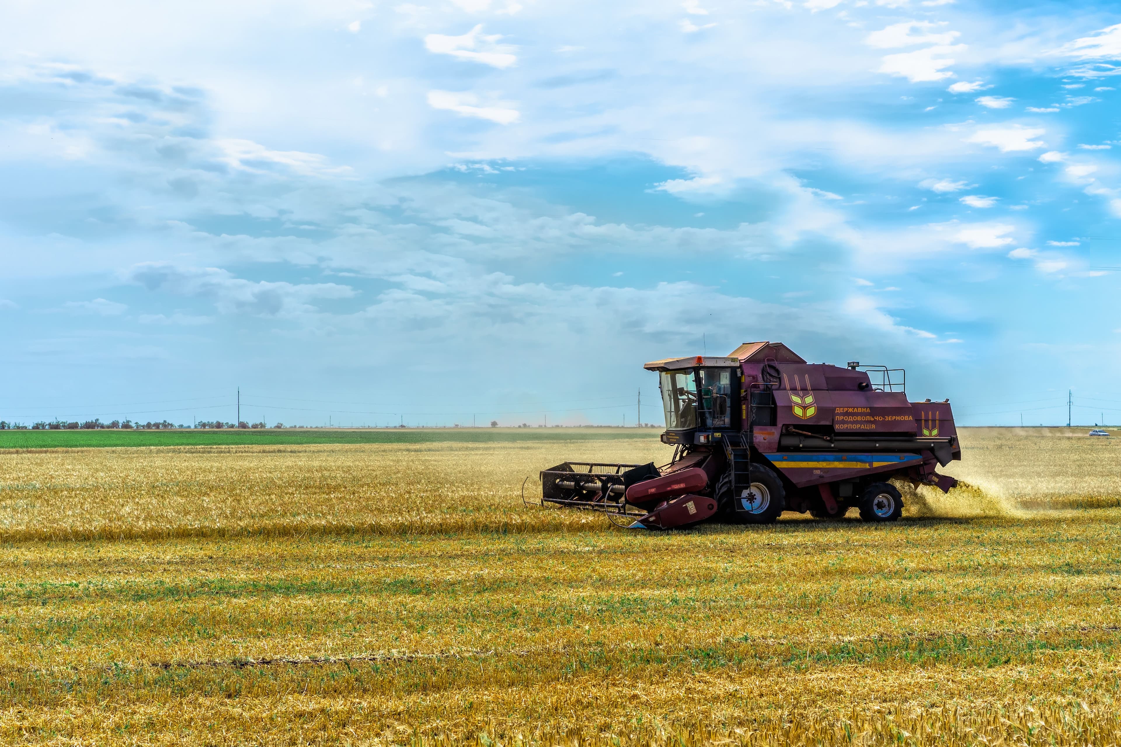 Raport CEPS spune că agricultura Ucrainei are nevoie de 55,3 miliarde de dolari pentru reconstrucție în următorul deceniu