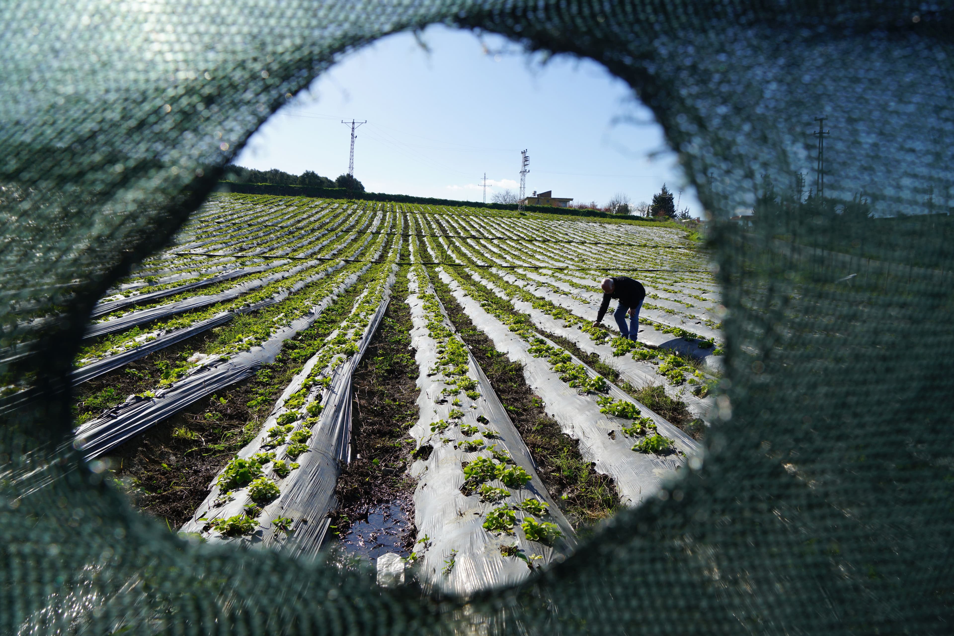 Un bărbat legat de criminalitatea organizată corsicană a fost condamnat în Franța pentru fraudă cu subvenții agricole europene