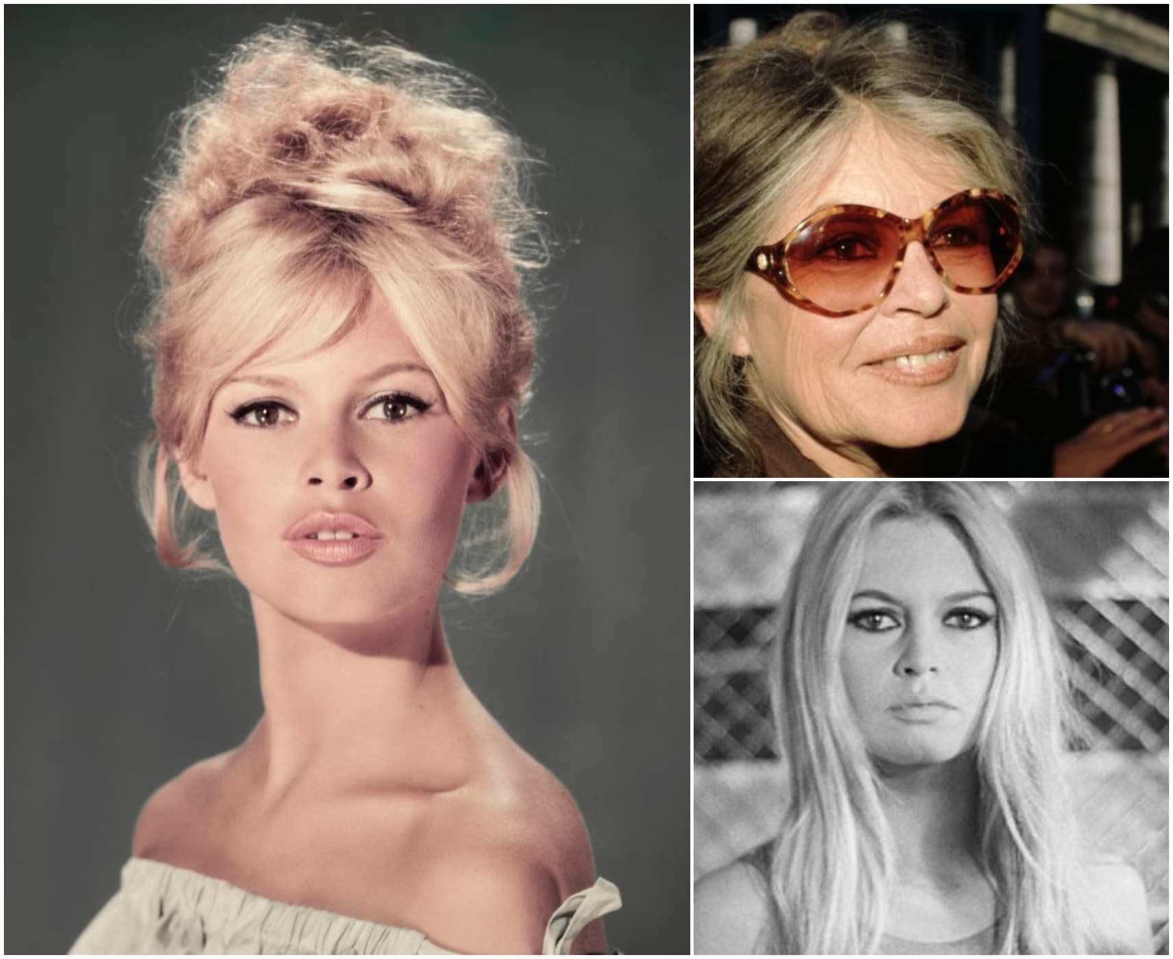 A murit Brigitte Bardot, legenda cinematografiei franceze. Mulți au numit-o „cea mai frumoasă femeie a secolului XX”