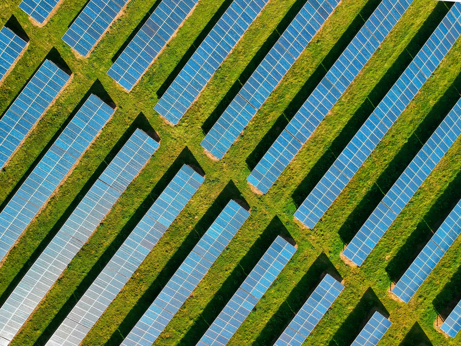 Agenția Europeană de Mediu cere orientarea AI pentru a sprijini tranziția verde