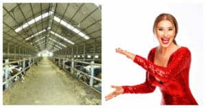Anamaria Prodan și-a luat 600 de bovine! A dat 7 milioane de euro pe o fermă zootehnică