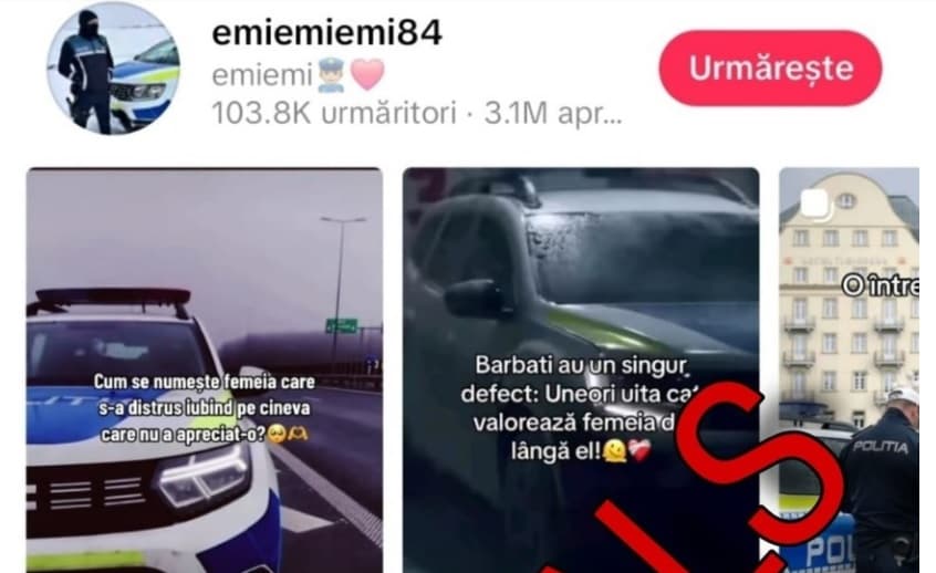 Atacul TikTok la Poliția Română. Reacția Ministerului de Interne