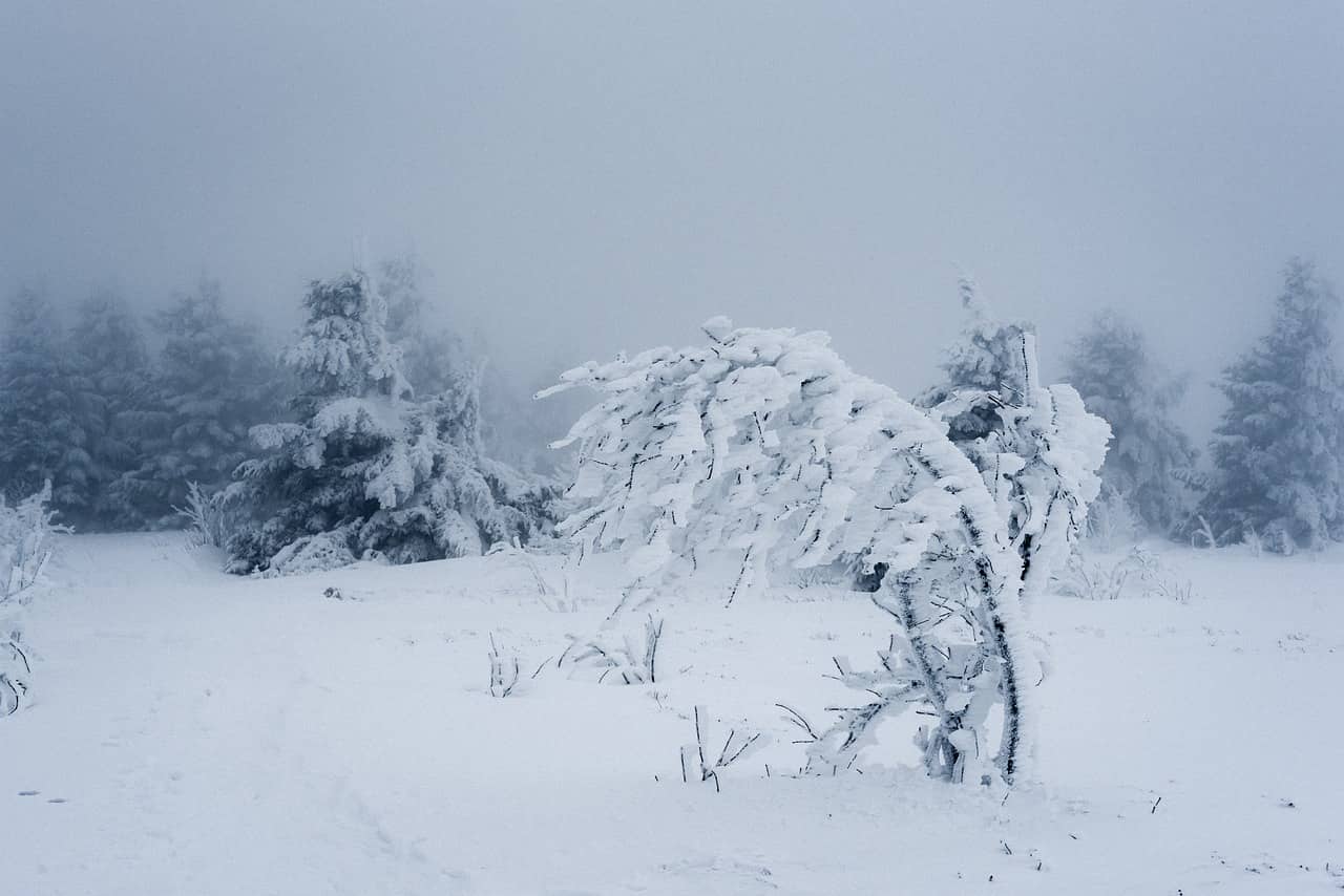 Avertizare meteo ANM de vreme rea în România! Ninsori, viscol și vânt puternic în jumătate de țară