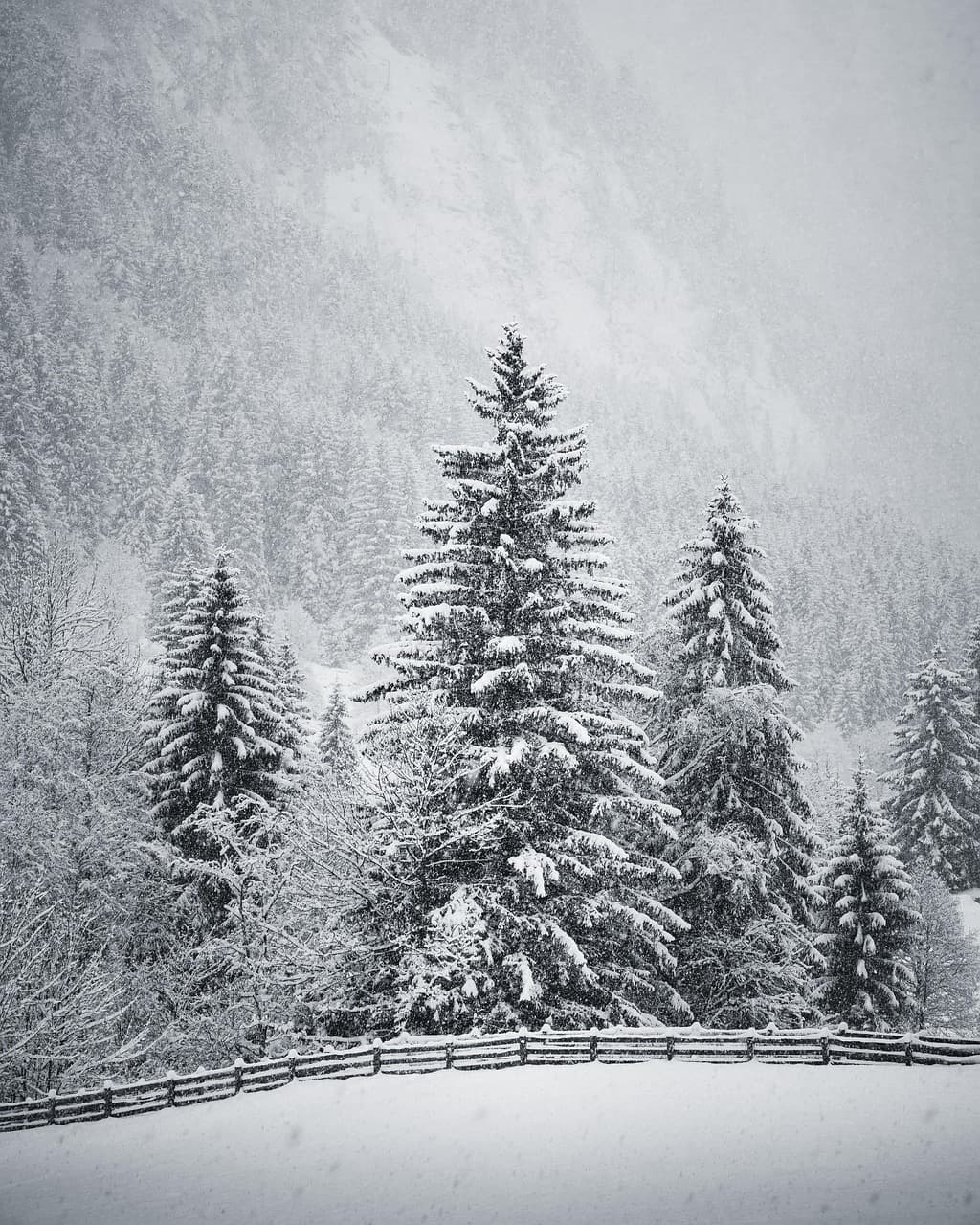 Avertizare meteo: Cod galben de ploi și frig. Zonele unde va ninge