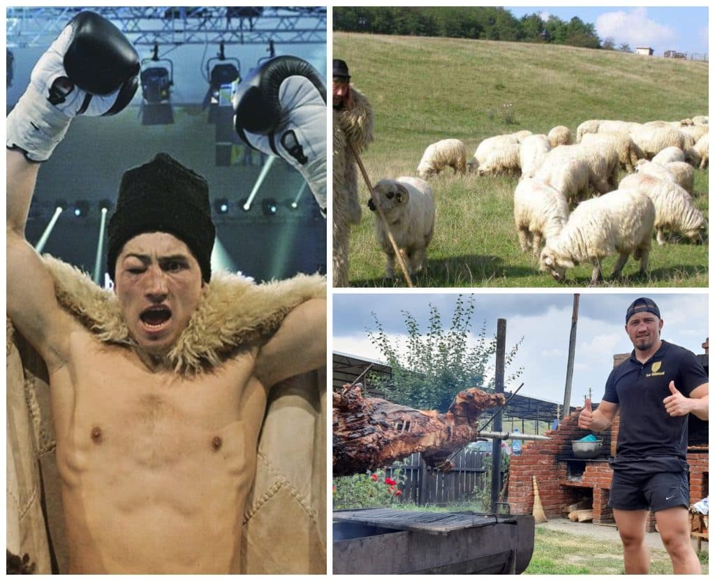 Când nu câștigă în ring, luptătorul Bogdan Năstase câștigă la stână. Este, pe drept cuvânt, ”Ciobănaș cu 300 de oi!”