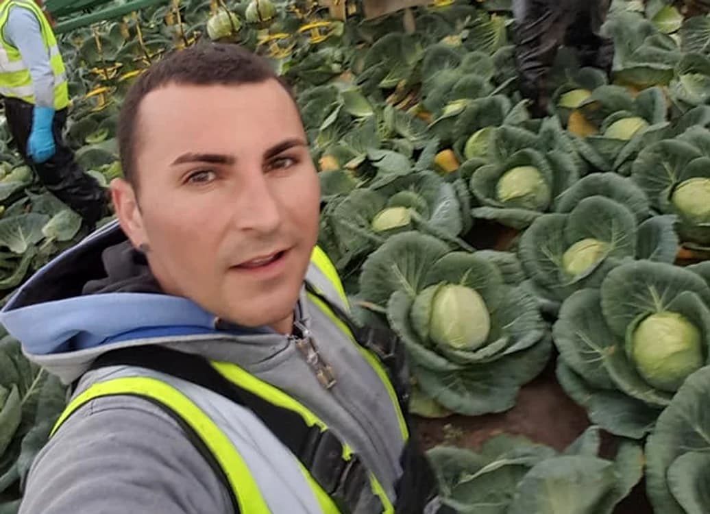 Cât câștigă un român în agricultură, în Anglia. „E greu, dar sunt destul de bine plătit și nu mi-aș schimba jobul pentru nimic în lume”