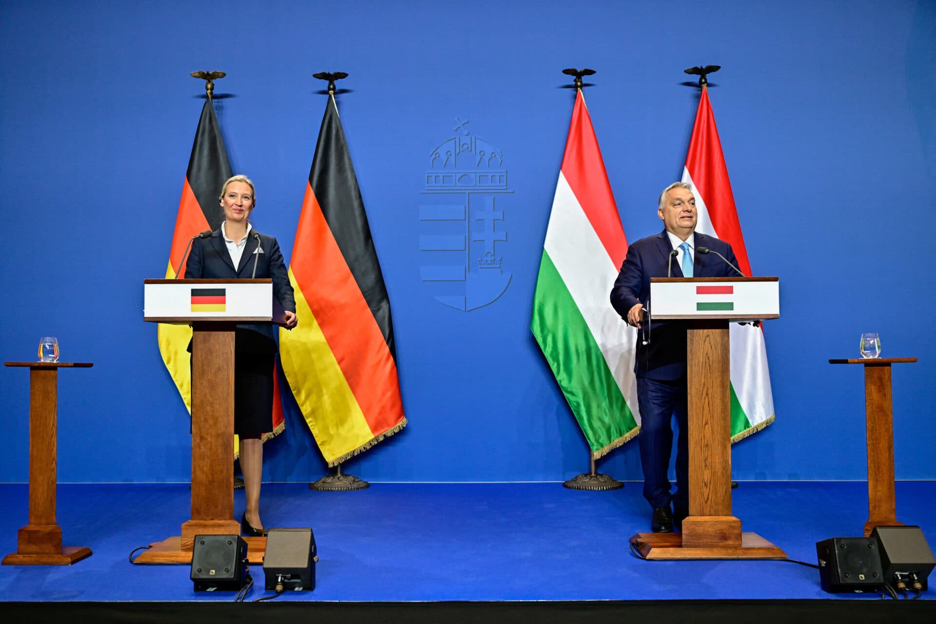 Ce pun la cale? Orban și liderul AfD, întrevedere la Budapesta