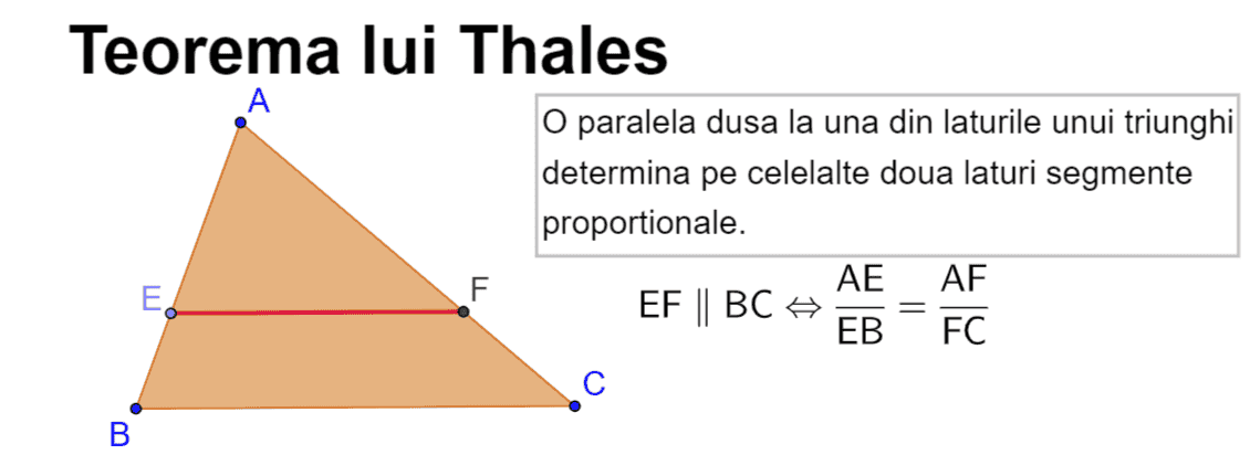 Ce spune, de fapt, teorema lui Thales?