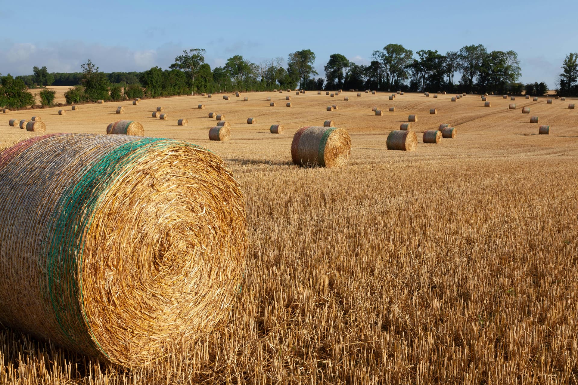 Comisia Europeană aprobă o schemă de ajutor franceză de 300 de milioane de euro pentru servicii de consiliere în agricultură