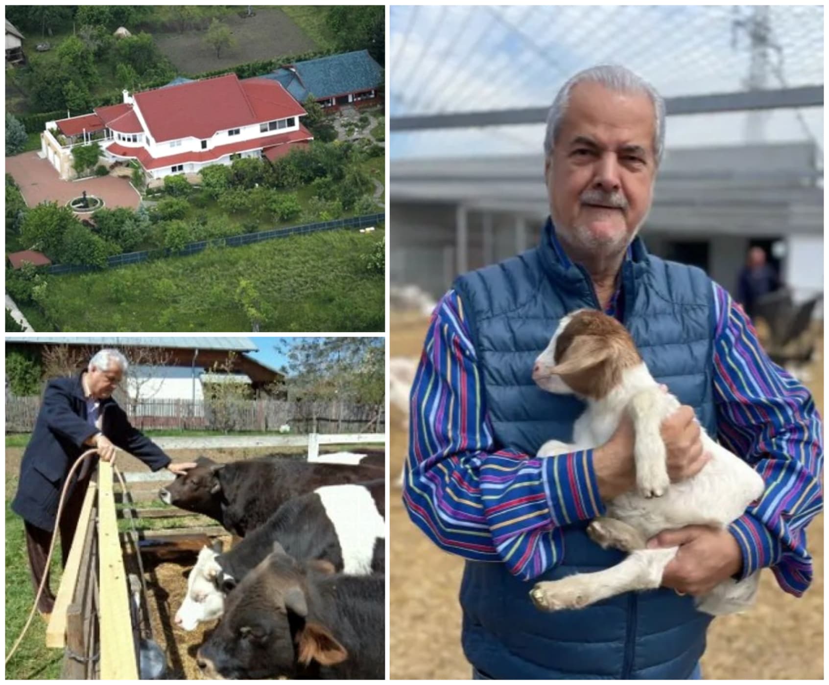 Cum arată moșia lui Adrian Năstase de la Cornu. Dincolo de porțile domeniului de 1,7 hectare, celebru după provocarea: „Veniți să-mi numărați ouăle!”