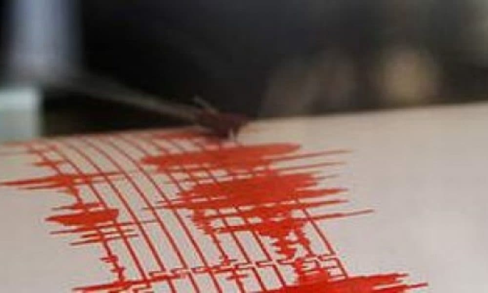 Două cutremure au avut loc în România, într-o oră, sâmbătă dimineaţă