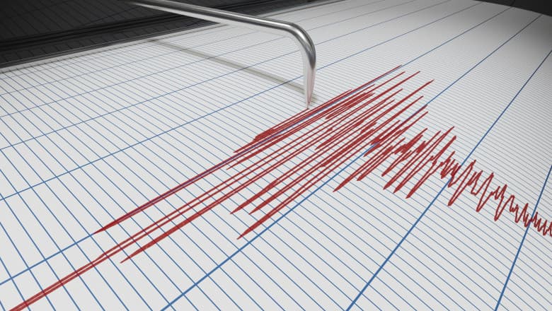 Două cutremure s-au produs în România, în noaptea de sâmbătă spre duminică, într-o oră. Ce magnitudini au avut