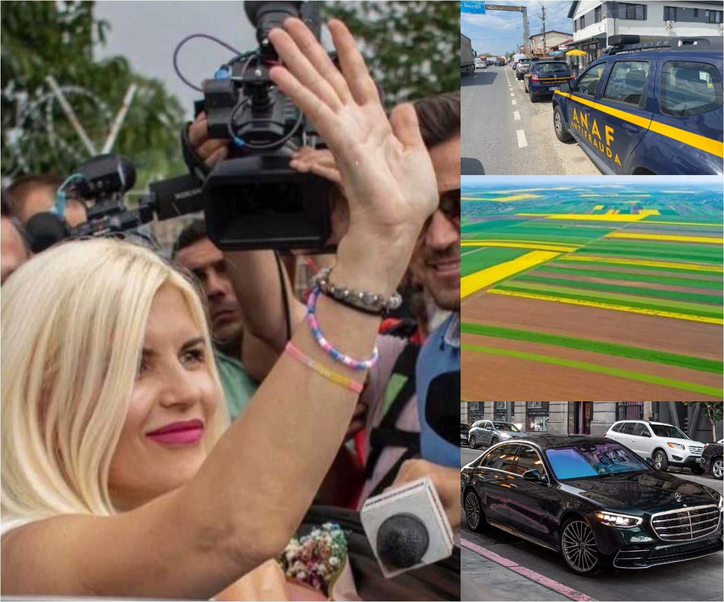 Elena Udrea își cere în instanță terenurile confiscate după executarea silită. Susține că a fost „condamnată abuziv”