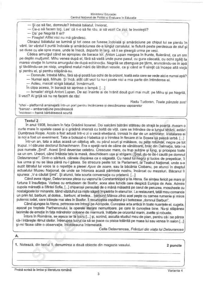 Evaluare Naţională 2022. Ce subiecte au picat la Limba şi literatura română