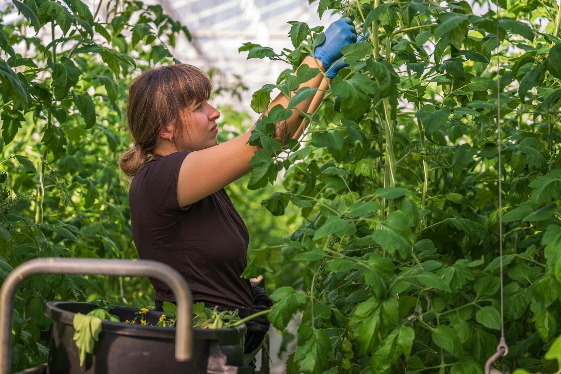 Femeile administrează o treime dintre fermele din Uniunea Europeană, dar primesc doar 15% din sprijinul agricol