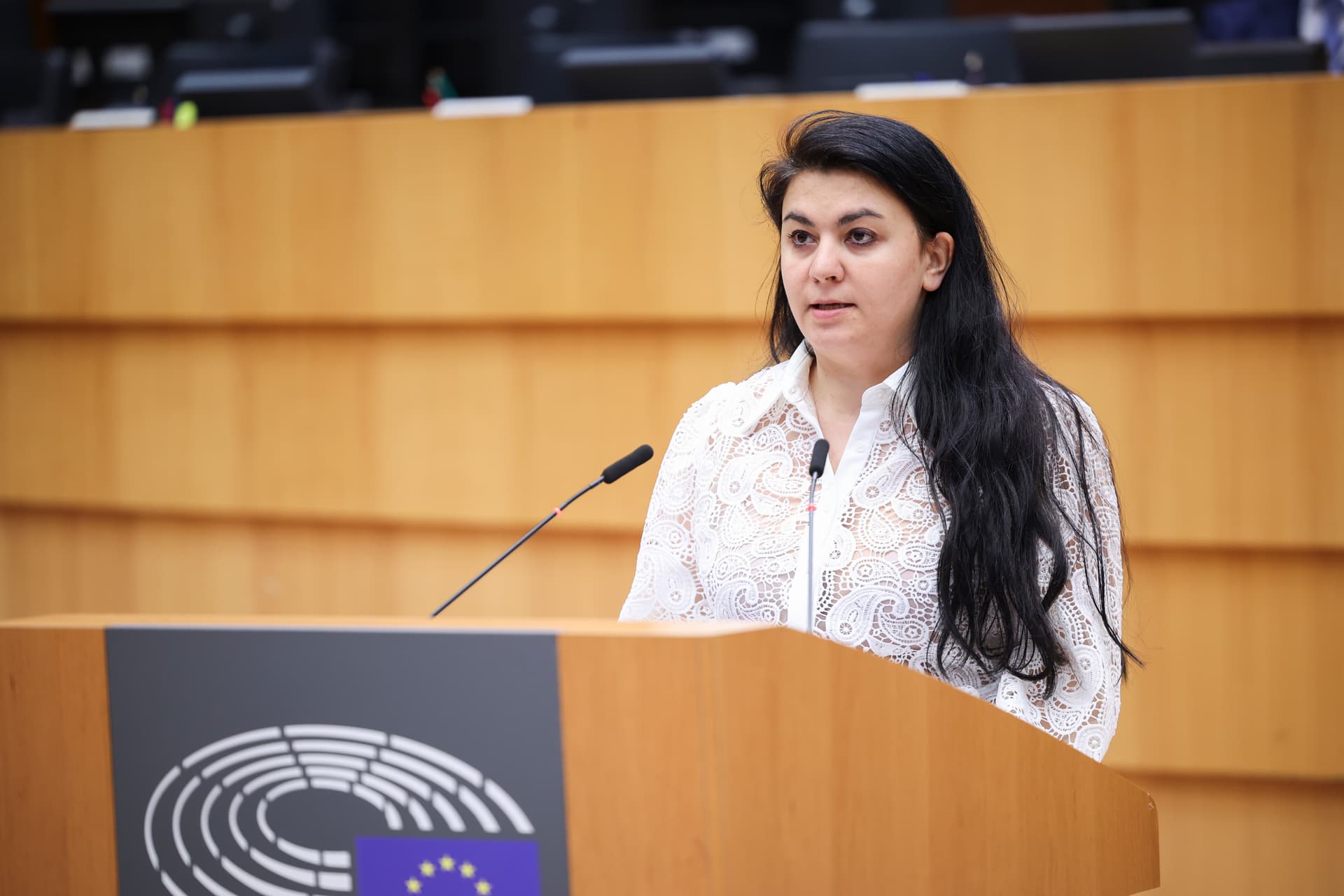 Georgiana Teodorescu salută noile reguli UE pentru returnarea migranților ilegali