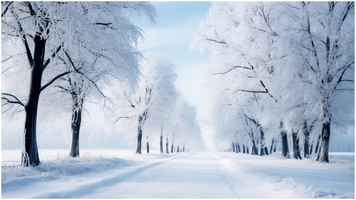 Gerul și ninsorile pun stăpânire pe România. Se ajunge la pragul siberian de -30 de grade Celsius
