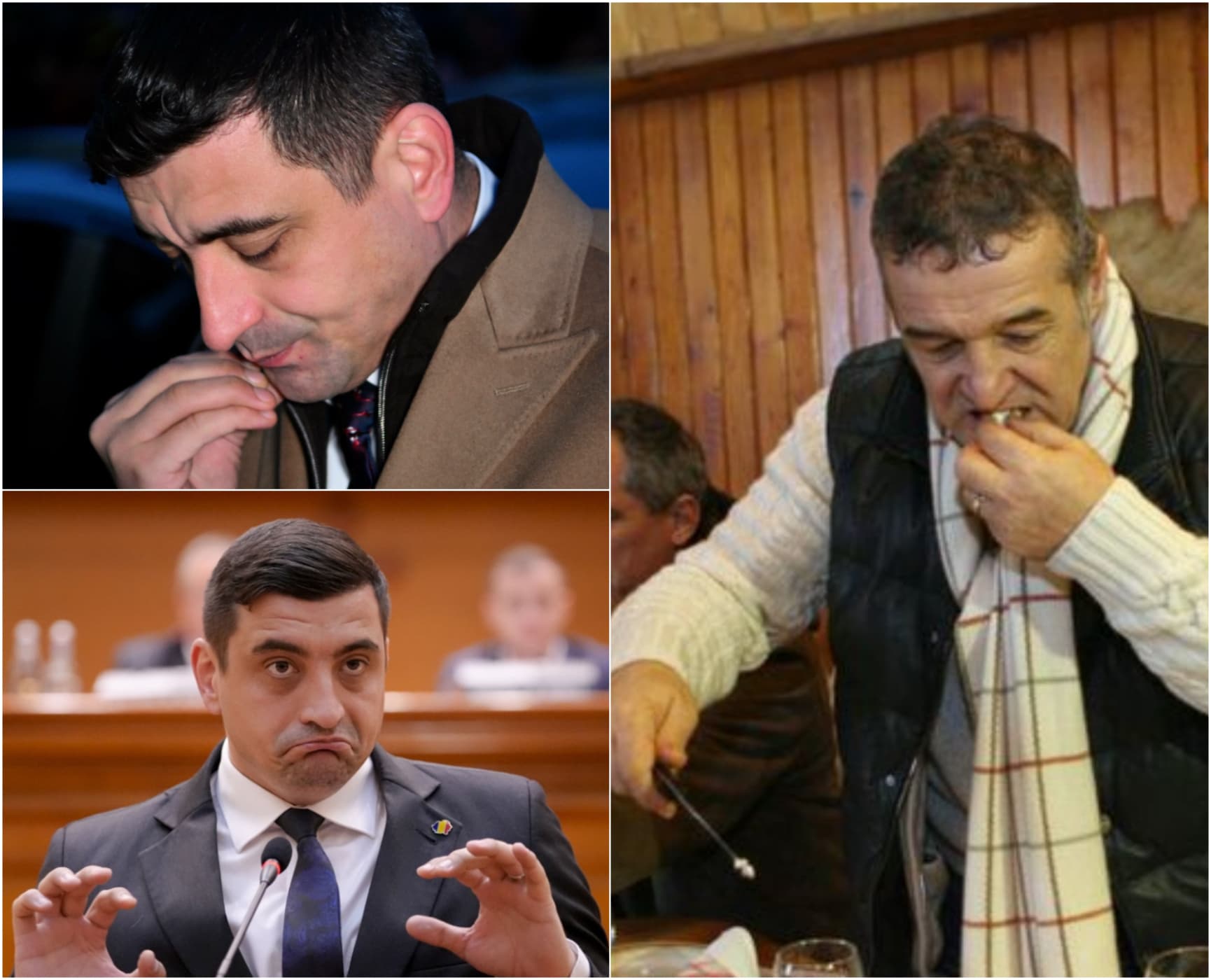 Gigi Becali, despre cât l-a costat brânza oferită lui George Simion la nunta acestuia: ”I-am trimis două tone, dar a zis că nu ajunge!”