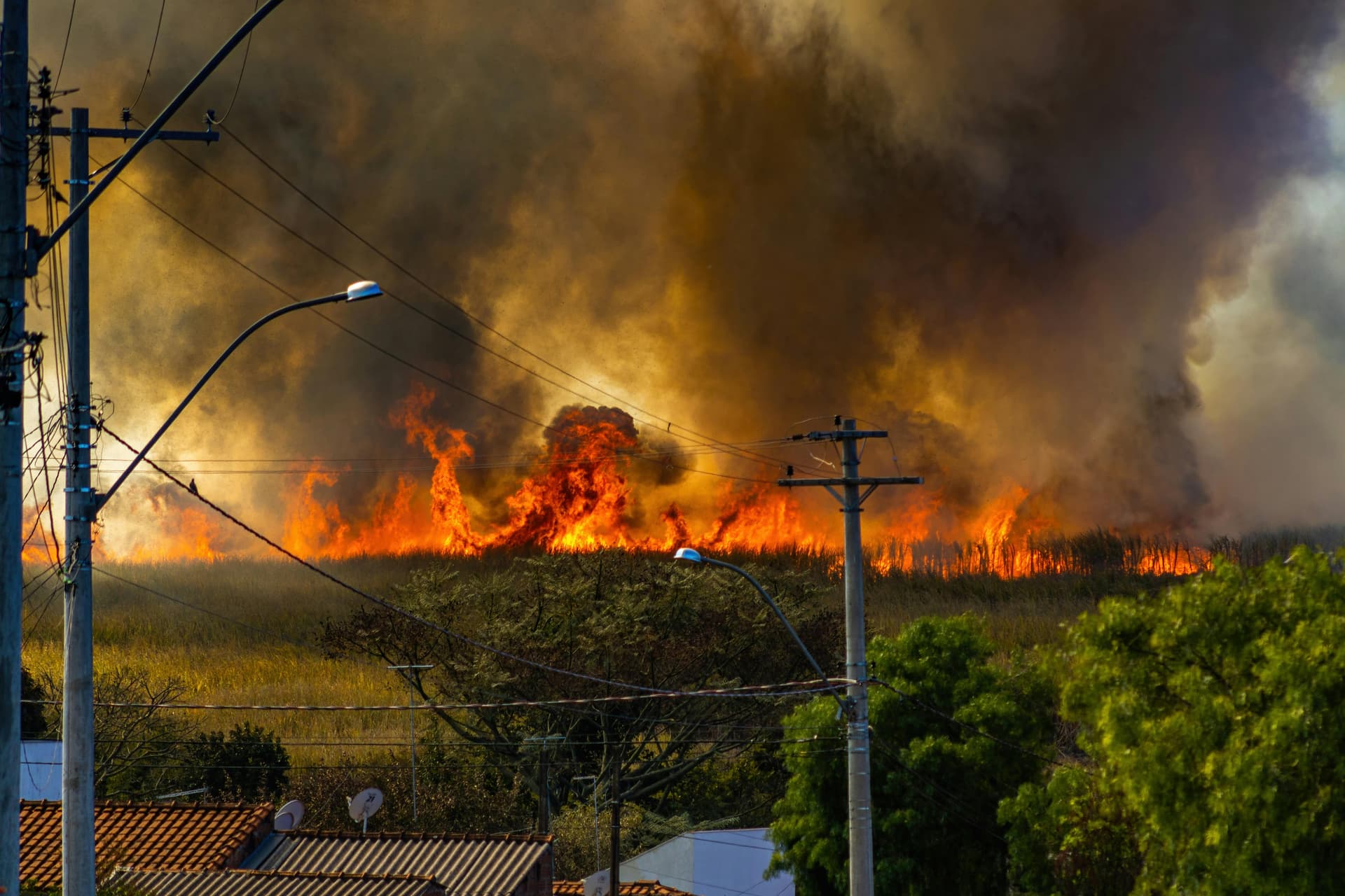 Incendiile forestiere au ars peste un milion de hectare în UE în 2025
