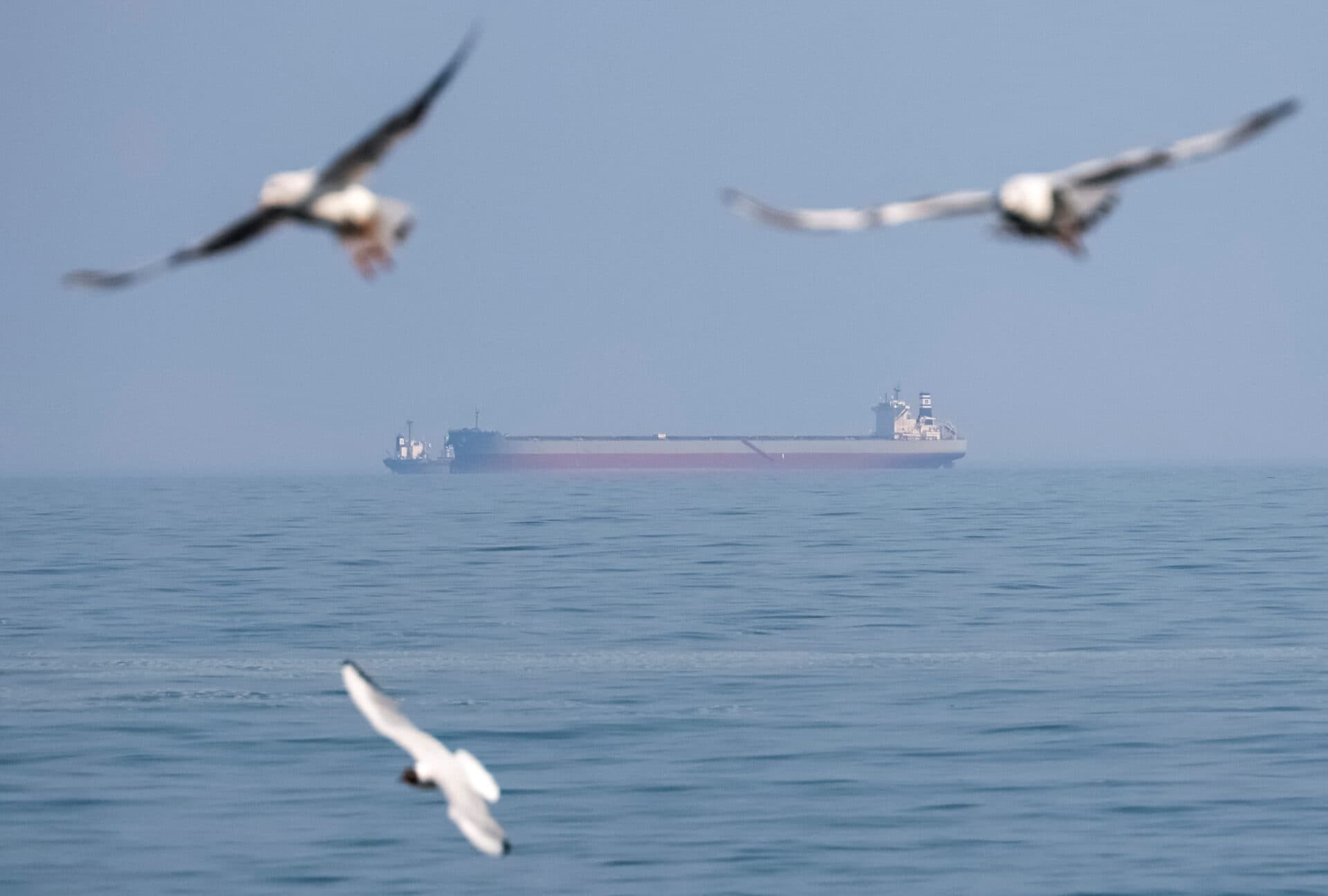 Navigând către pace. Cum securitatea Mării Negre poate aduce speranță