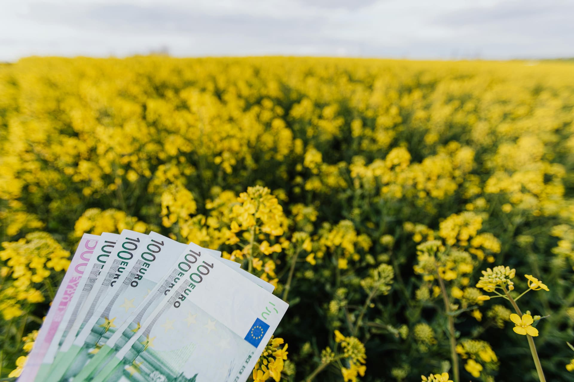 Parchetul European anchetează 21 de persoane în Croația pentru suspiciuni de fraudă cu subvenții agricole UE