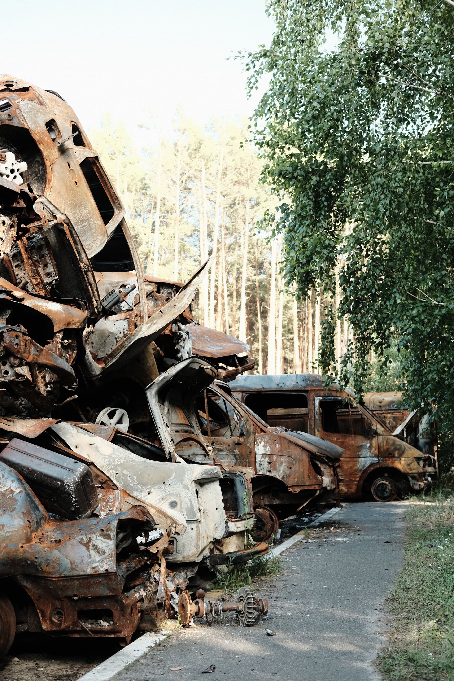 Parlamentul European aprobă reguli care obligă industria auto să proiecteze mașini mai ușor de reciclat