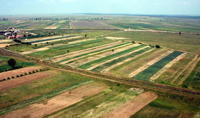 Prețuri terenuri agricole. Unde sunt cele mai scumpe terenuri agricole din România