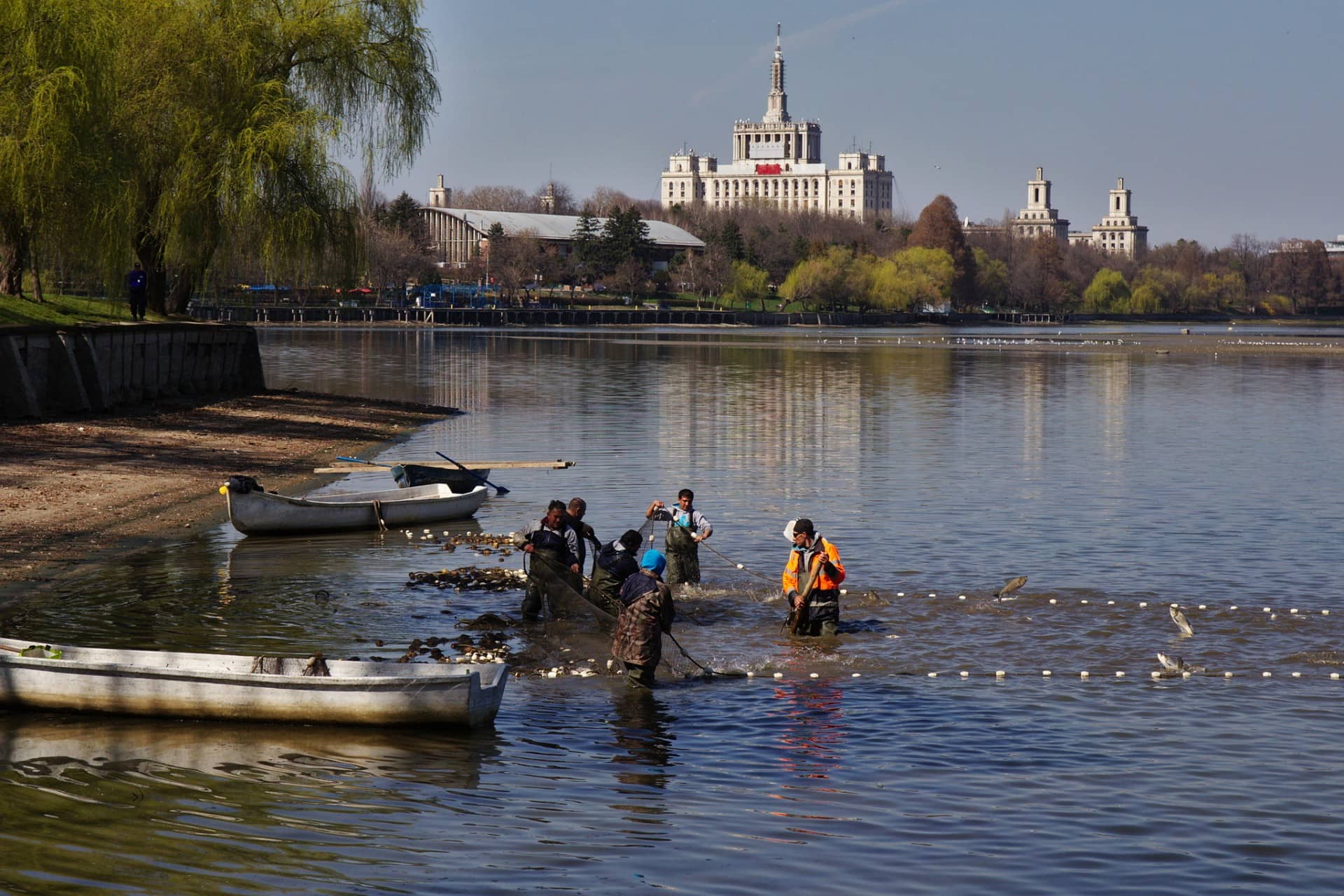 O femeie, găsită moartă în lacul Herăstrău